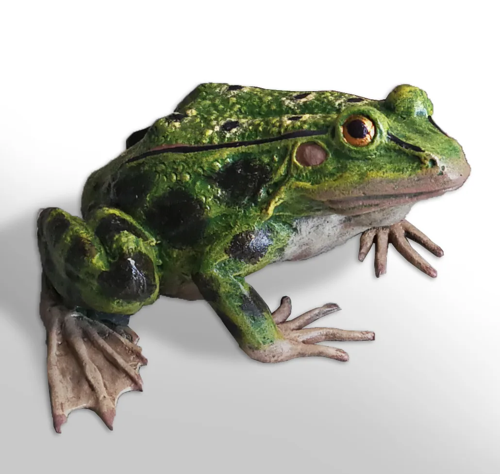 Big Frog
