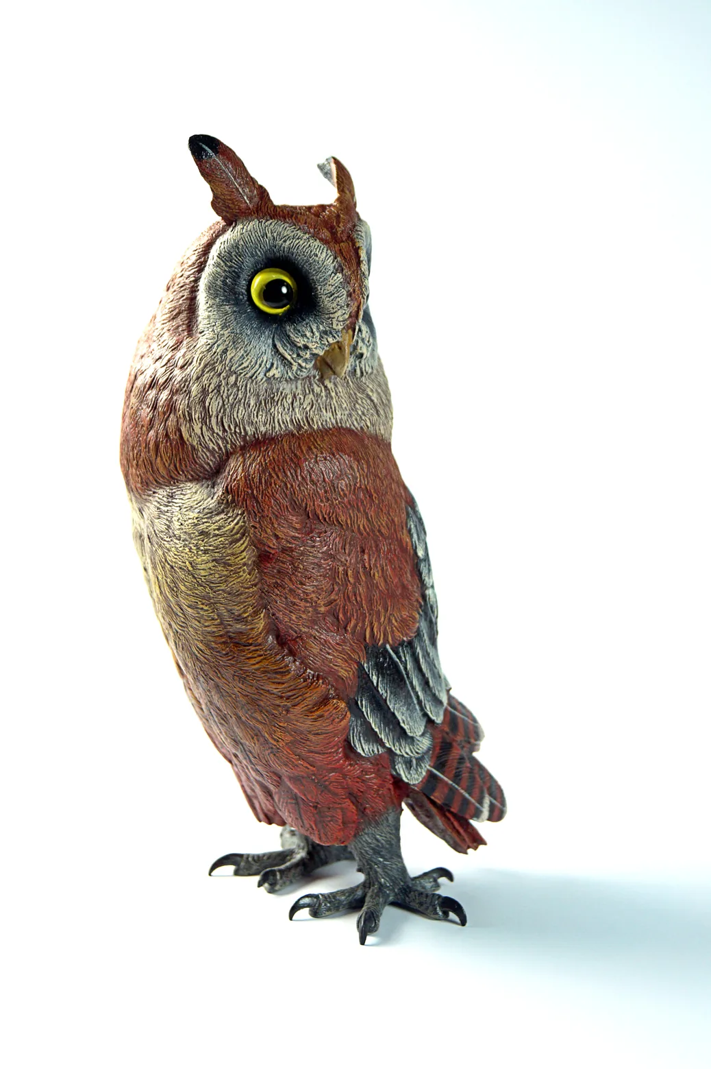 Big Owl