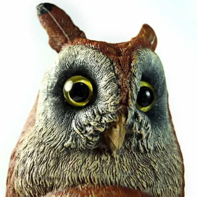 Big Owl