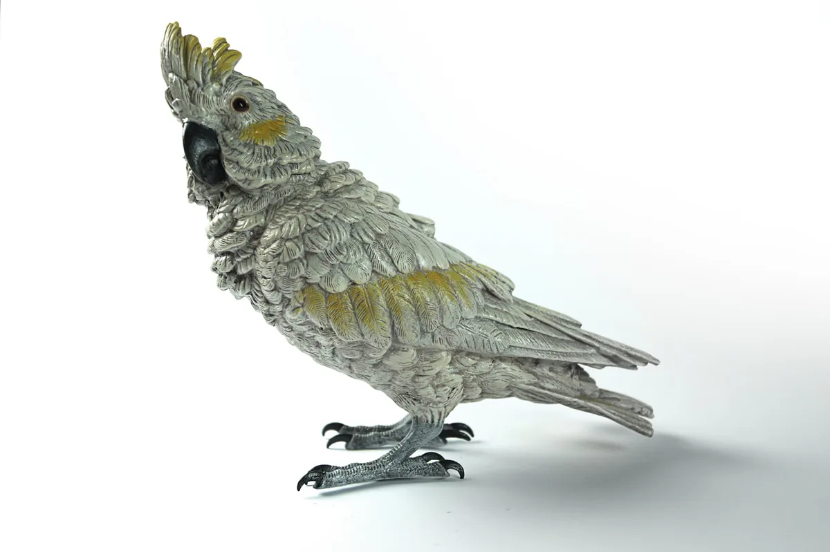 Cockatoo