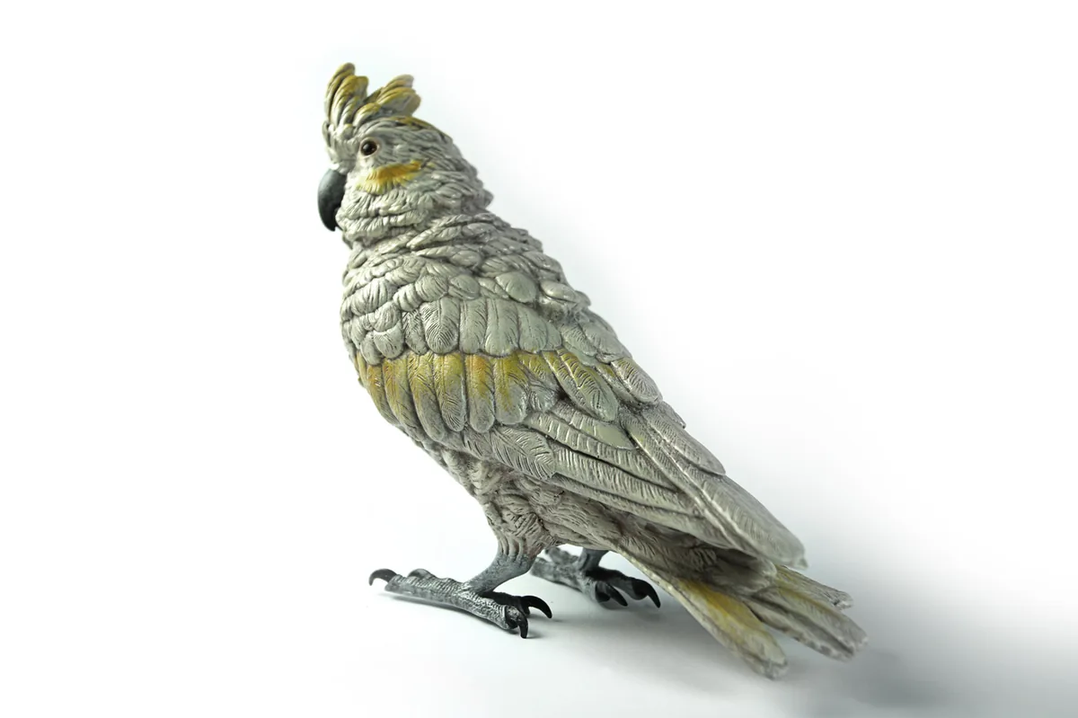 Cockatoo