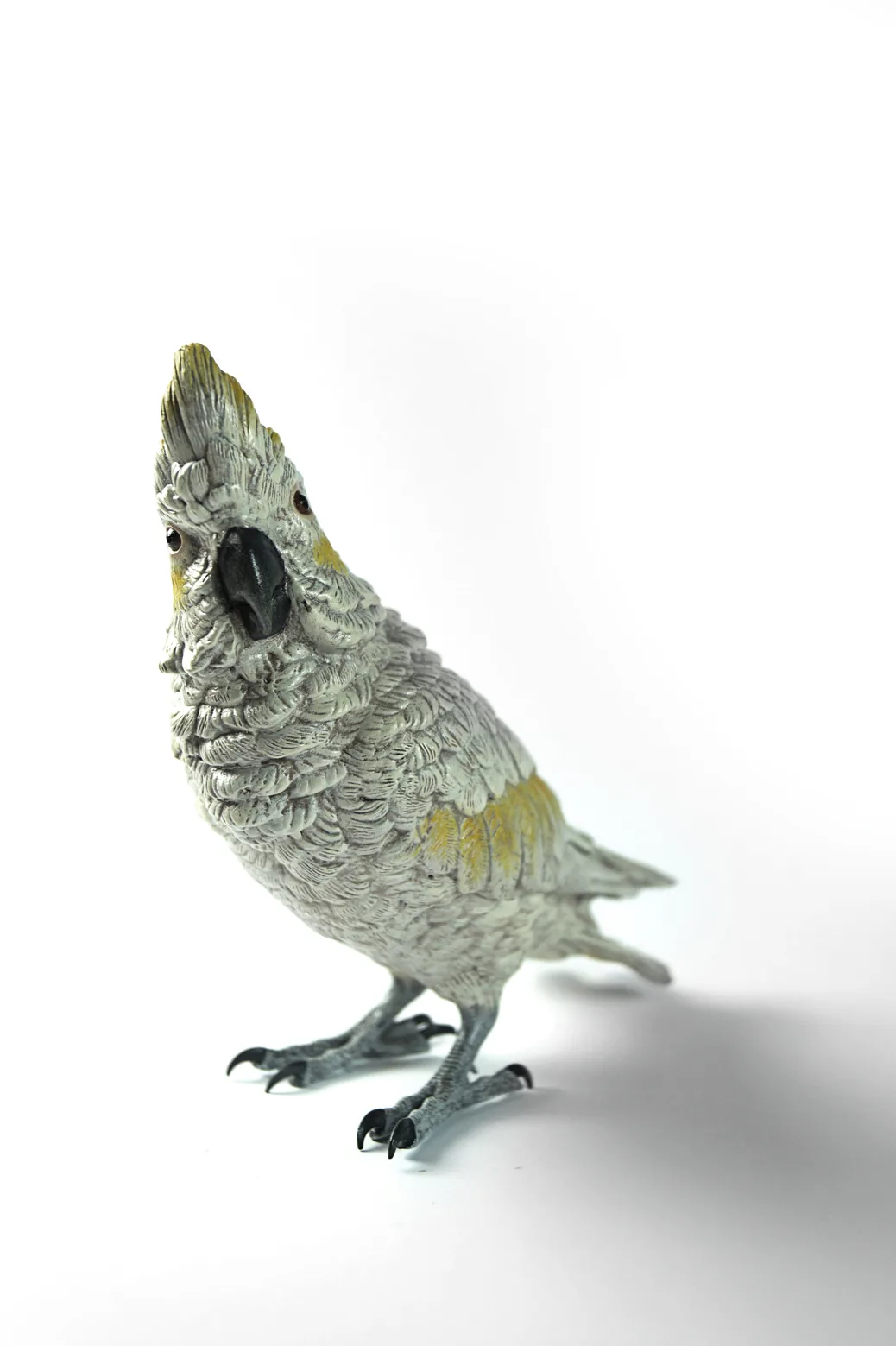 Cockatoo