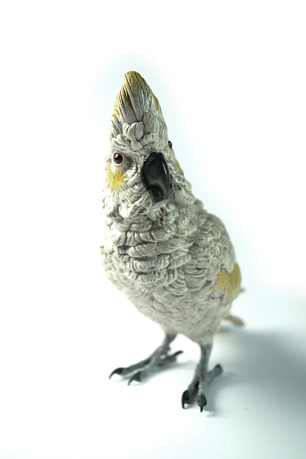Cockatoo