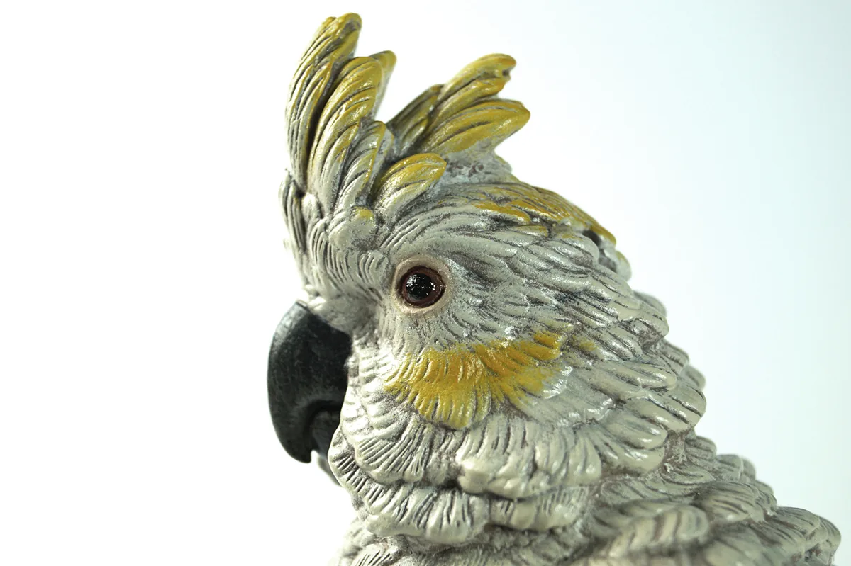 Cockatoo