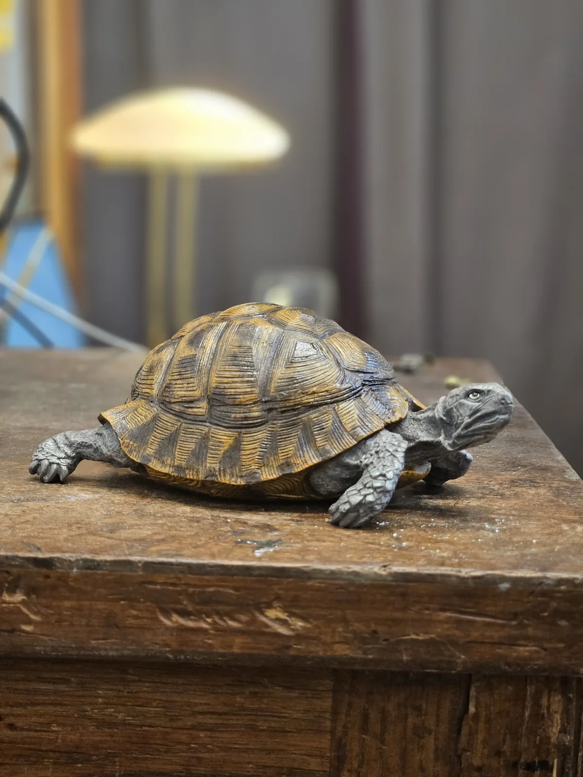 Large Turtle