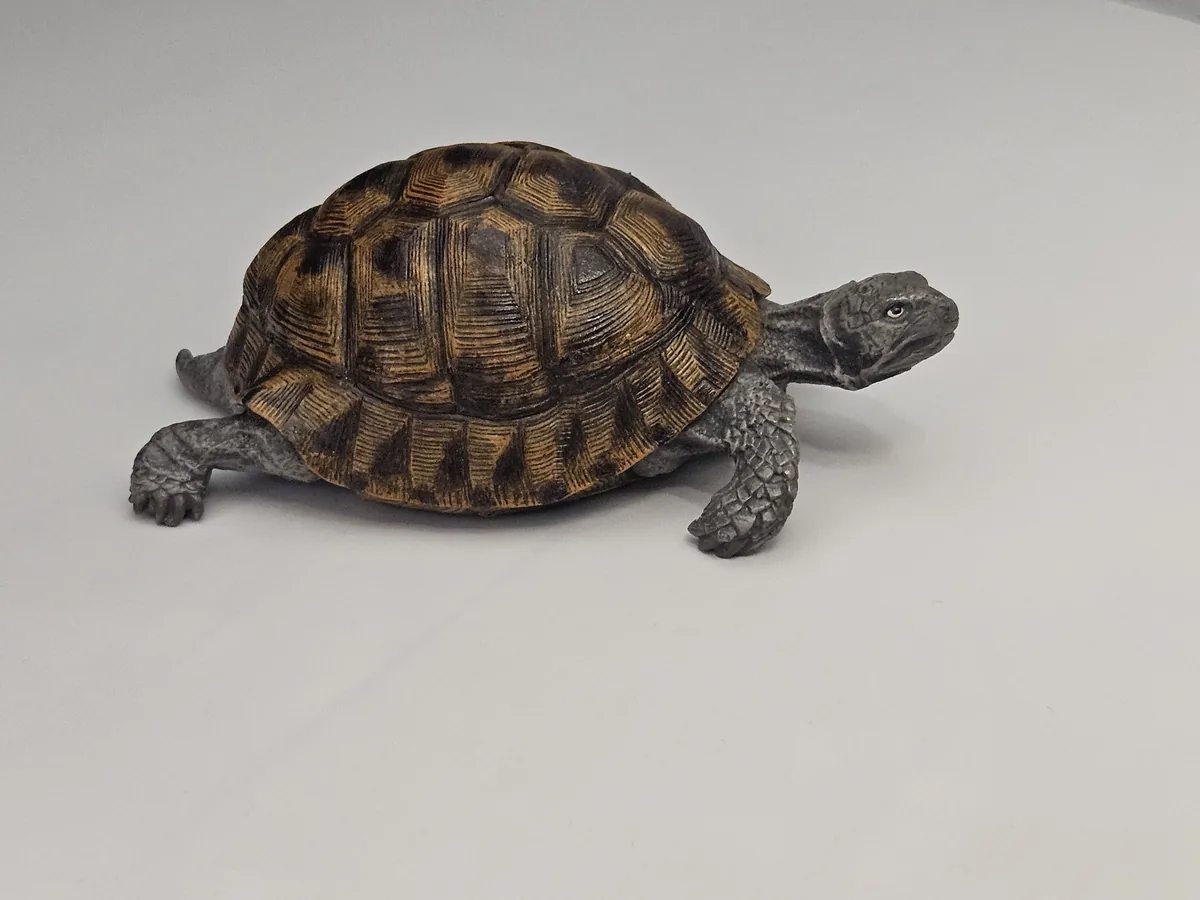 Large Turtle