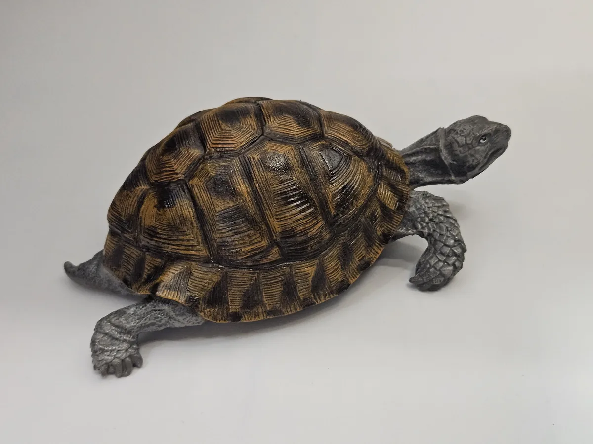Large Turtle