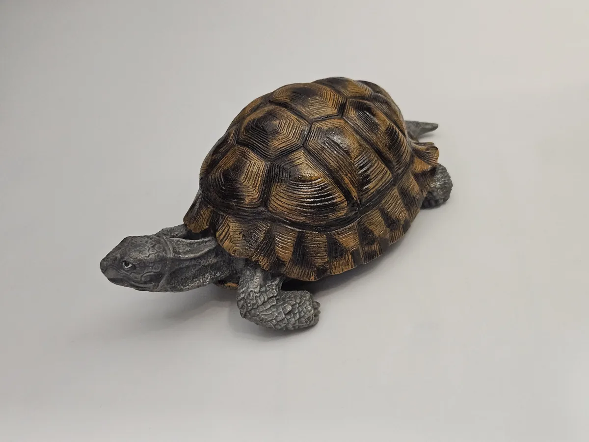 Large Turtle