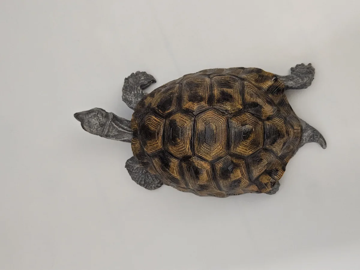 Large Turtle