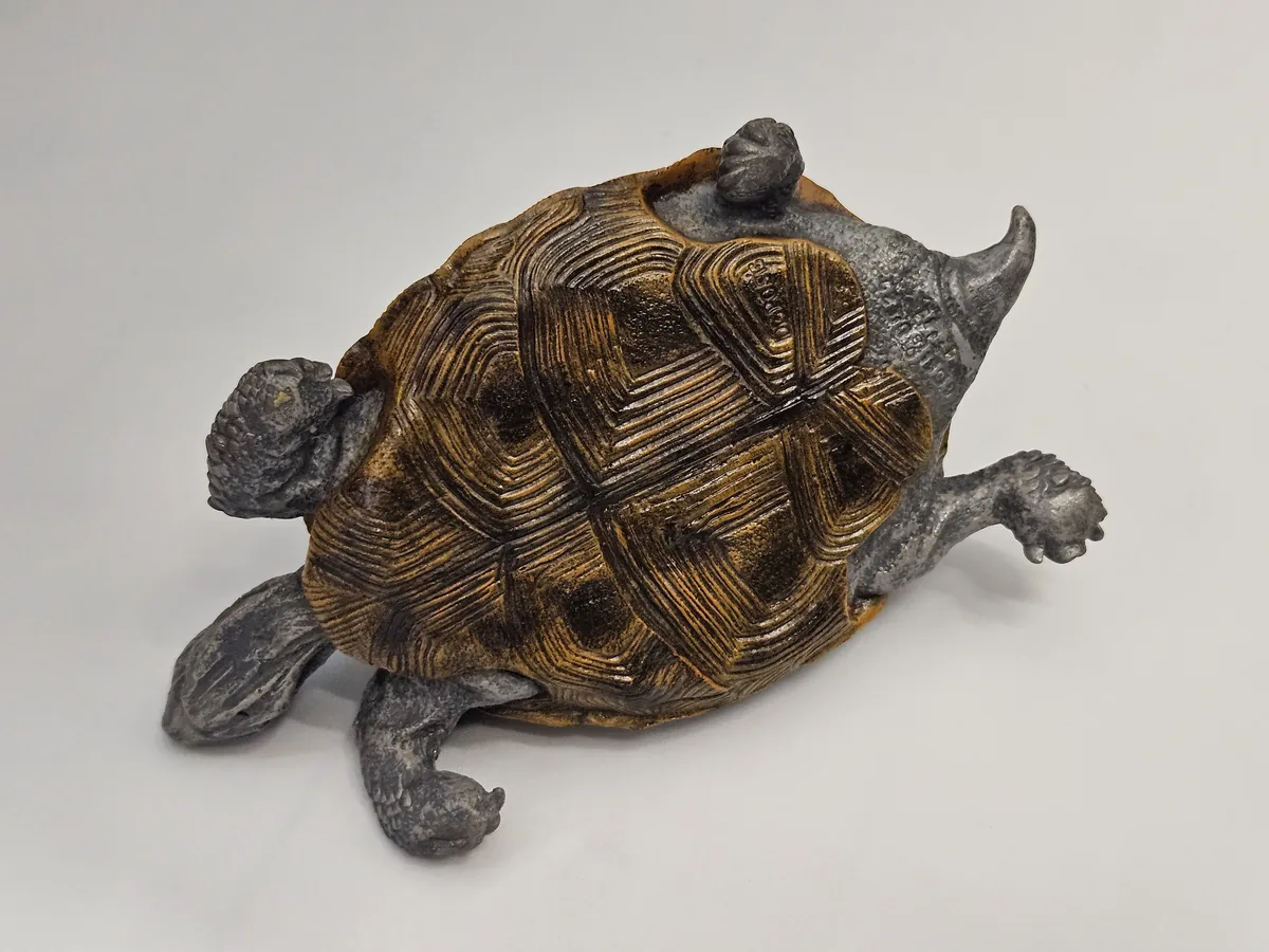 Large Turtle