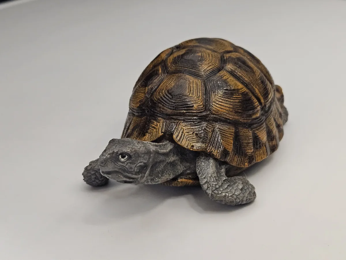 Large Turtle
