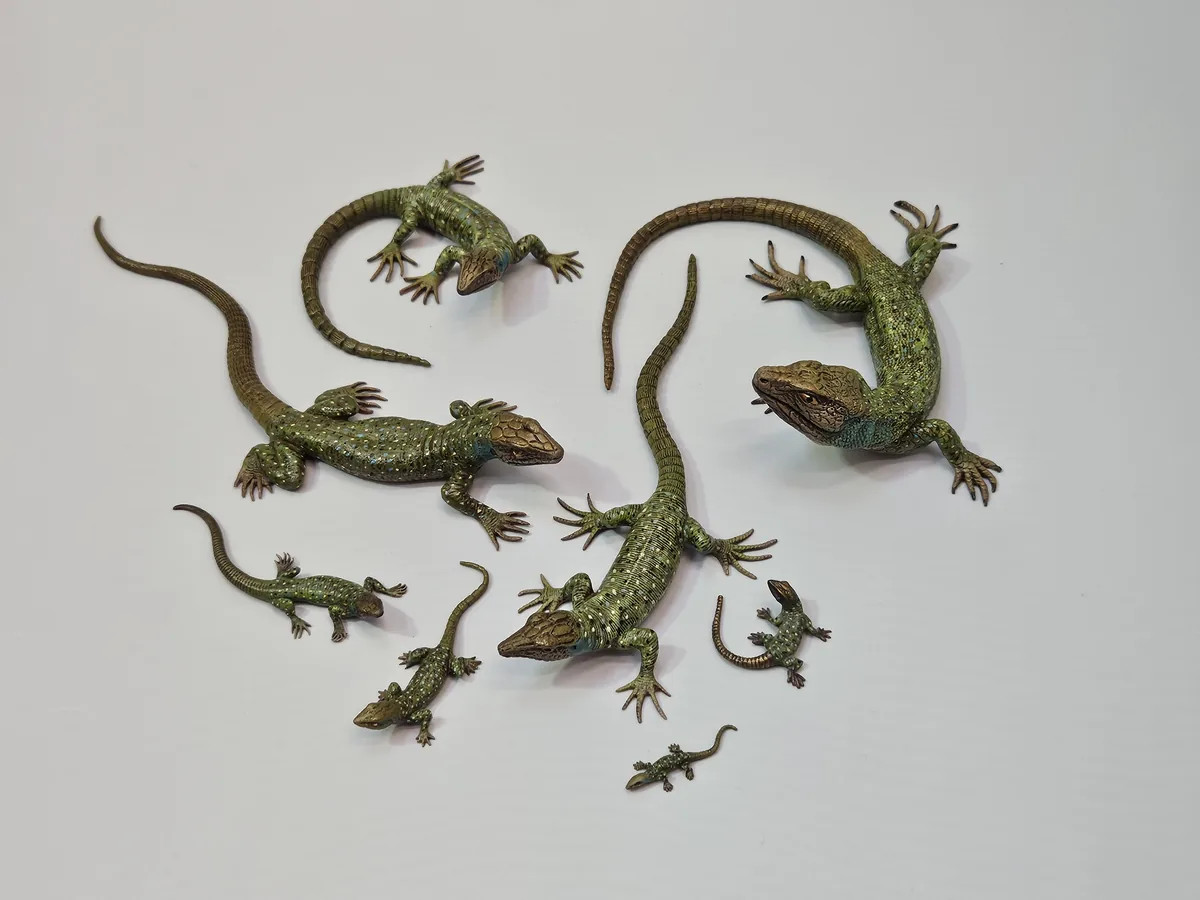 Lizard 16013