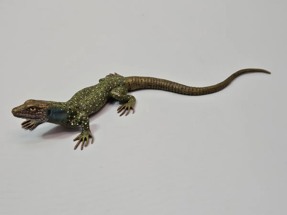 Lizard 16013