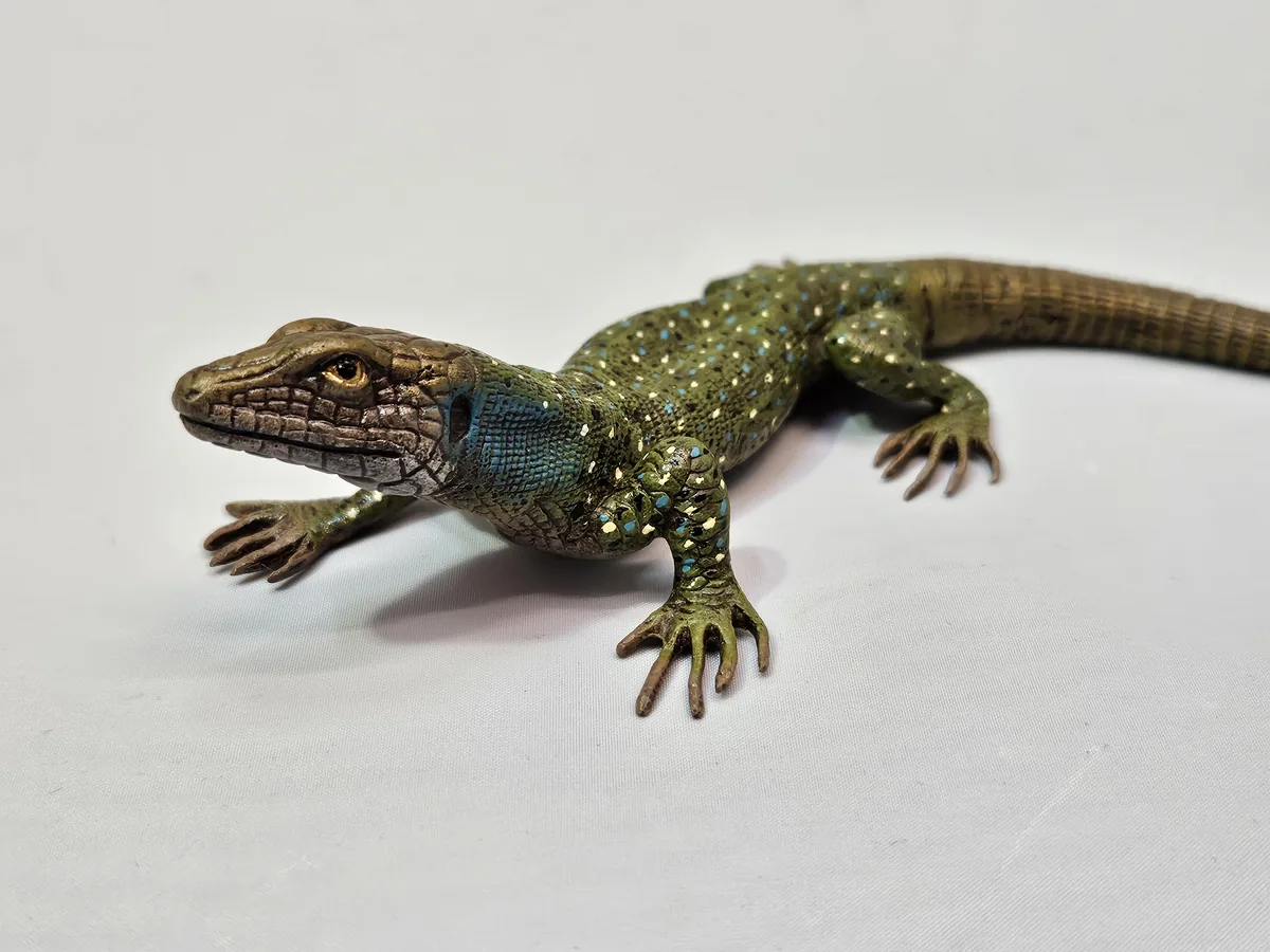 Lizard 16013