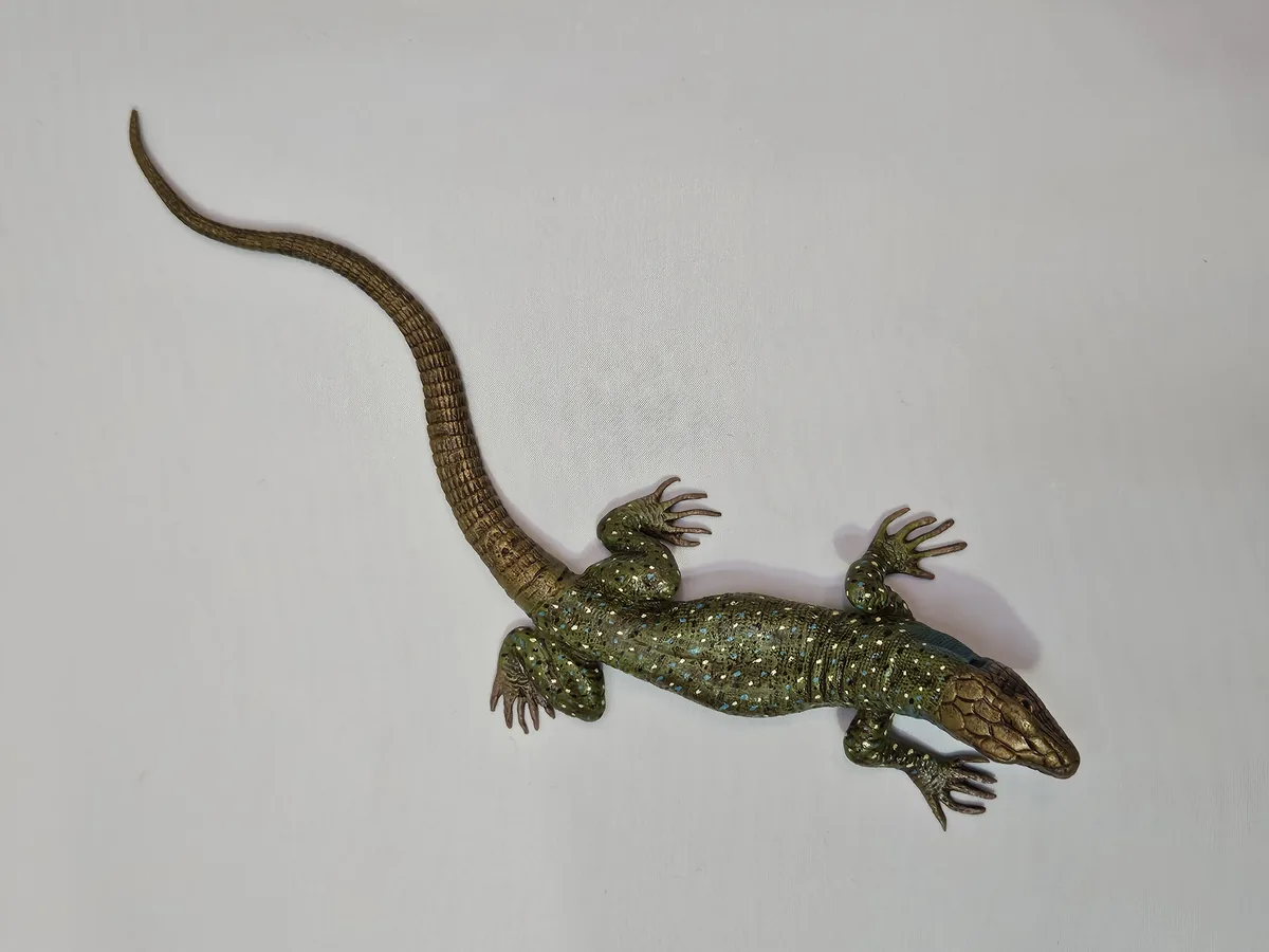Lizard 16013