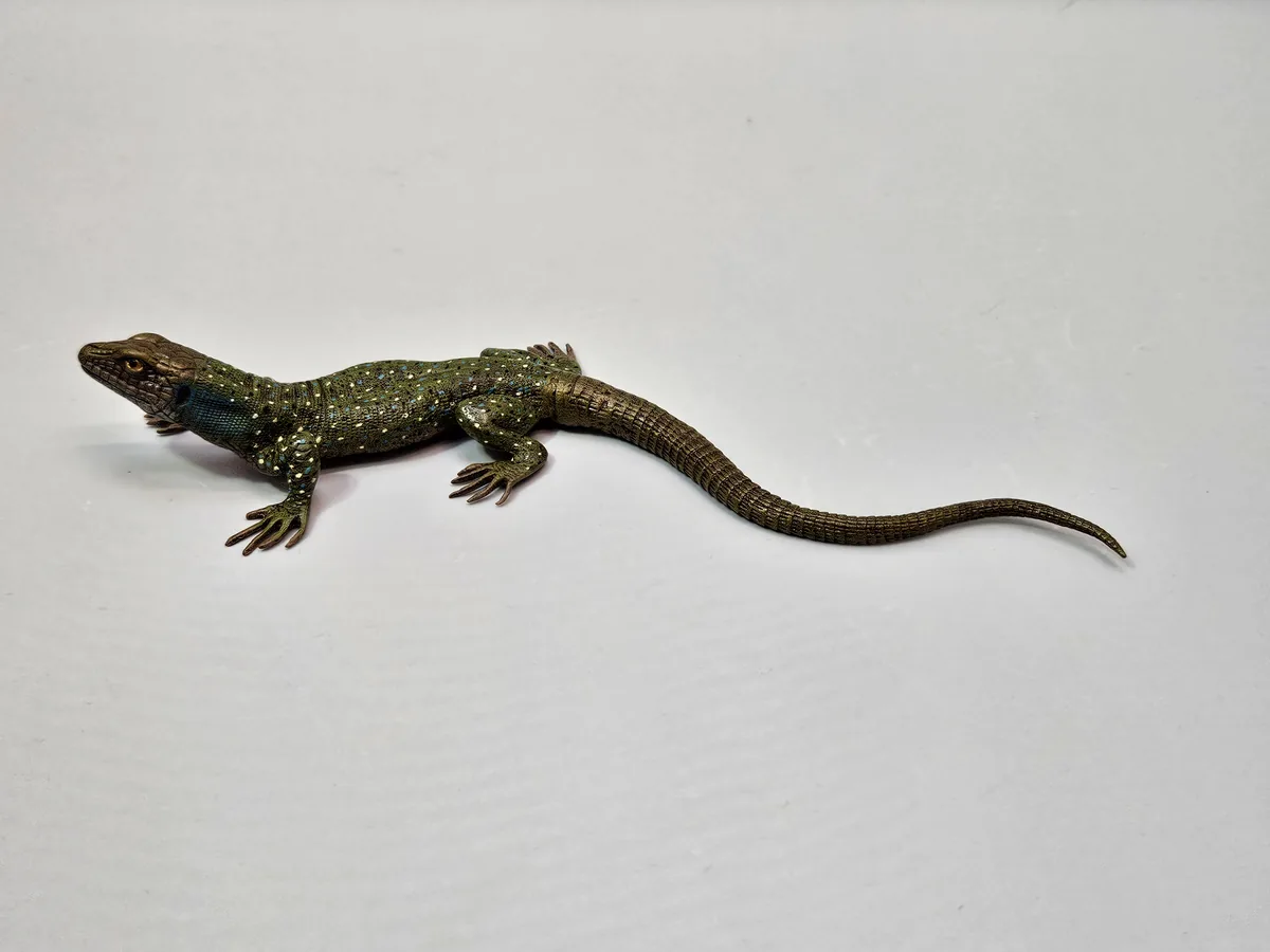 Lizard 16013