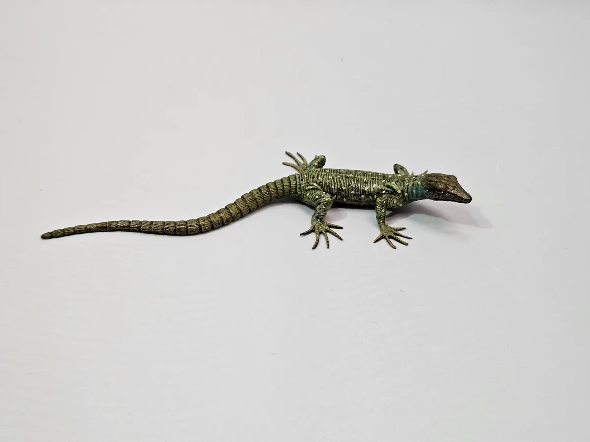 Lizard 16014