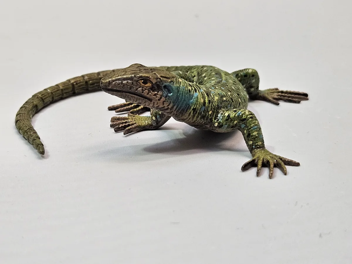 Lizard 16014