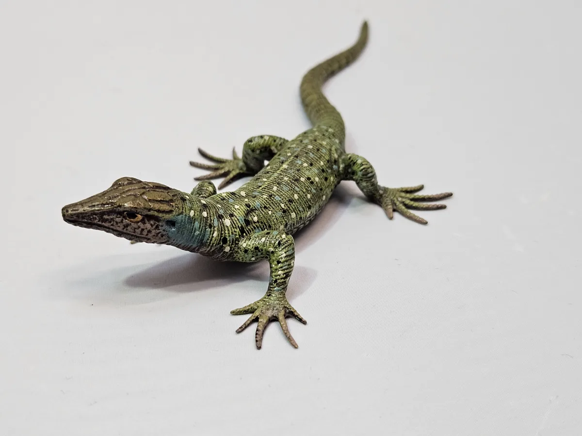 Lizard 16014