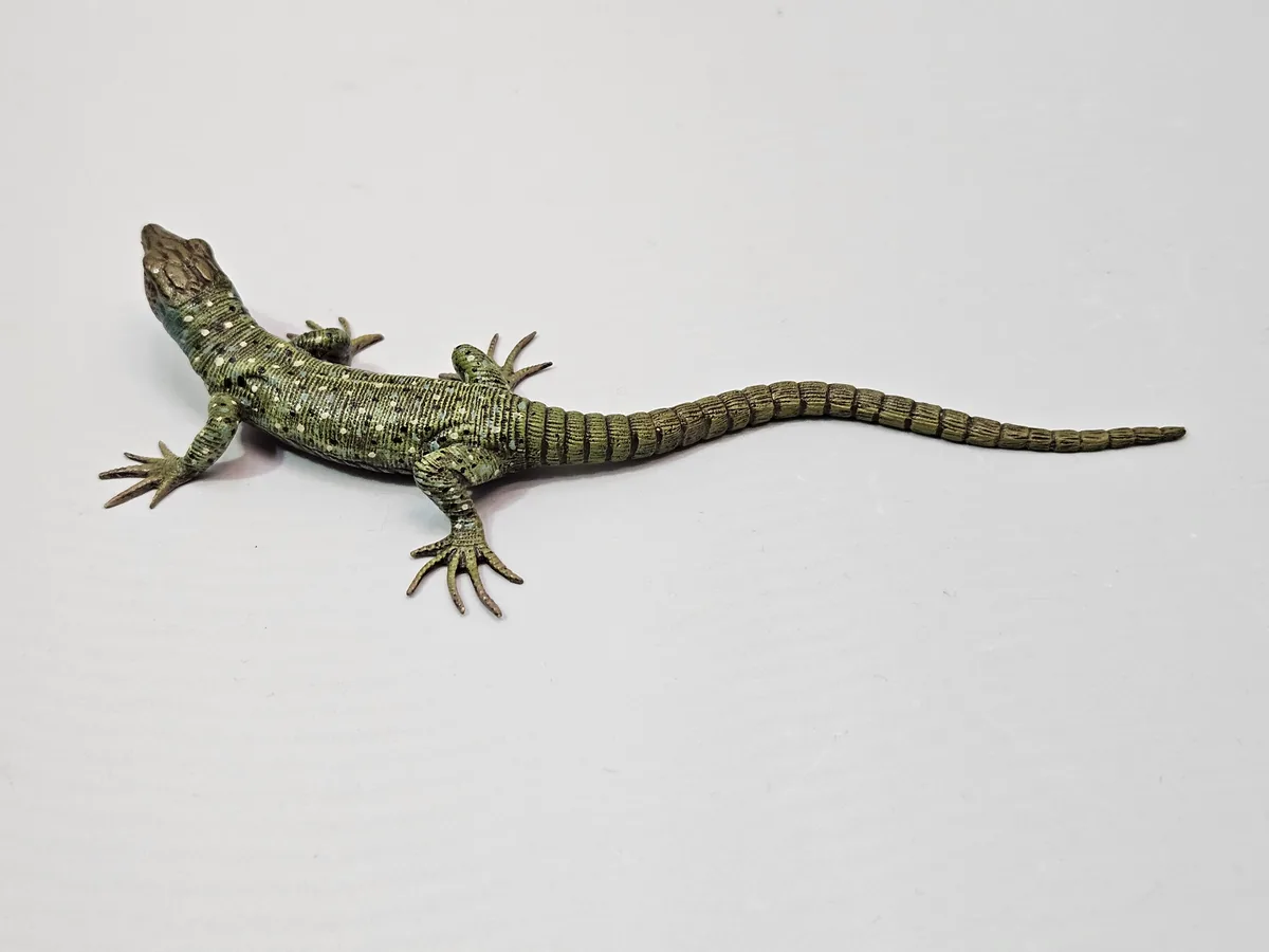 Lizard 16014