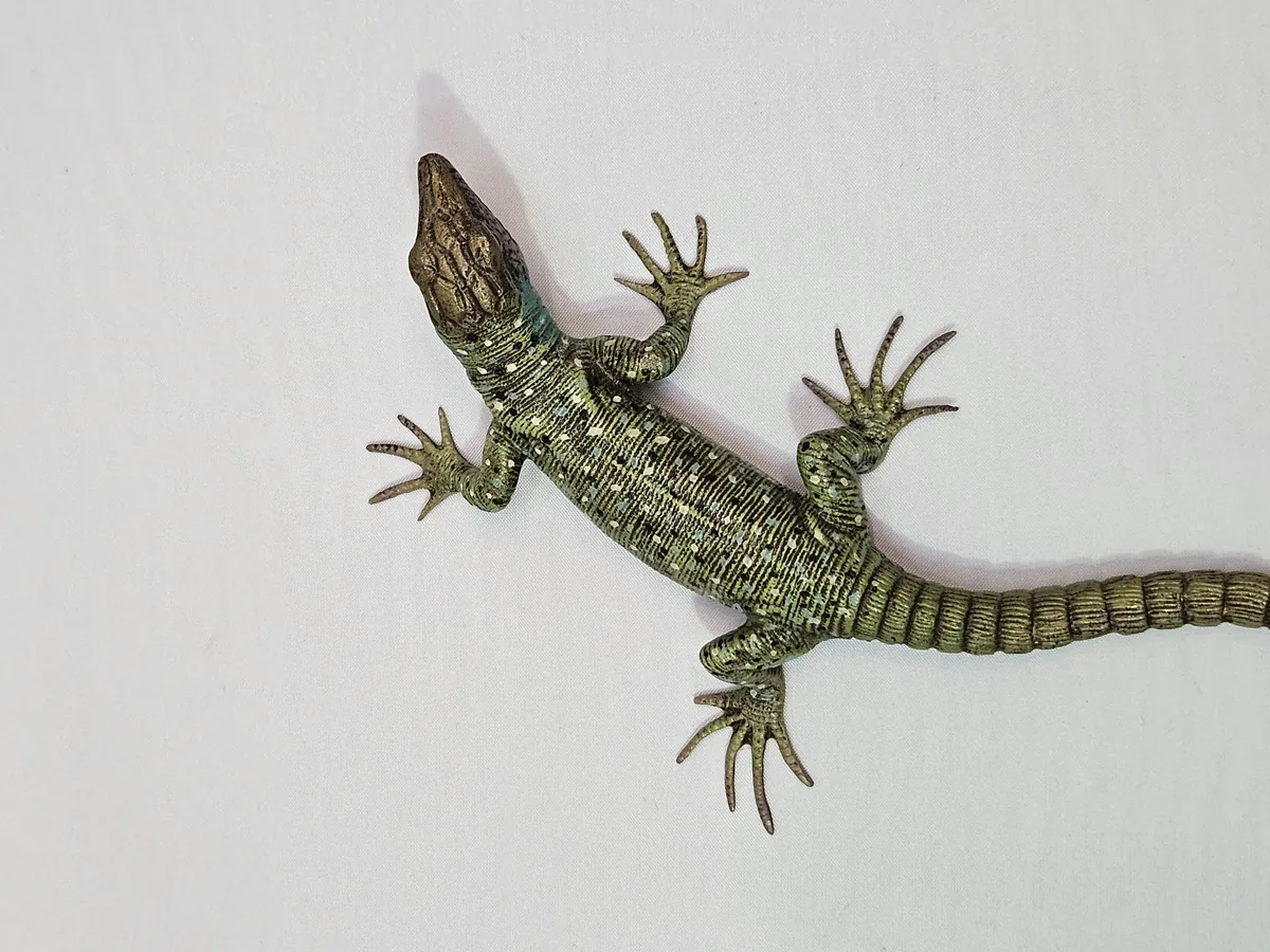 Lizard 16014