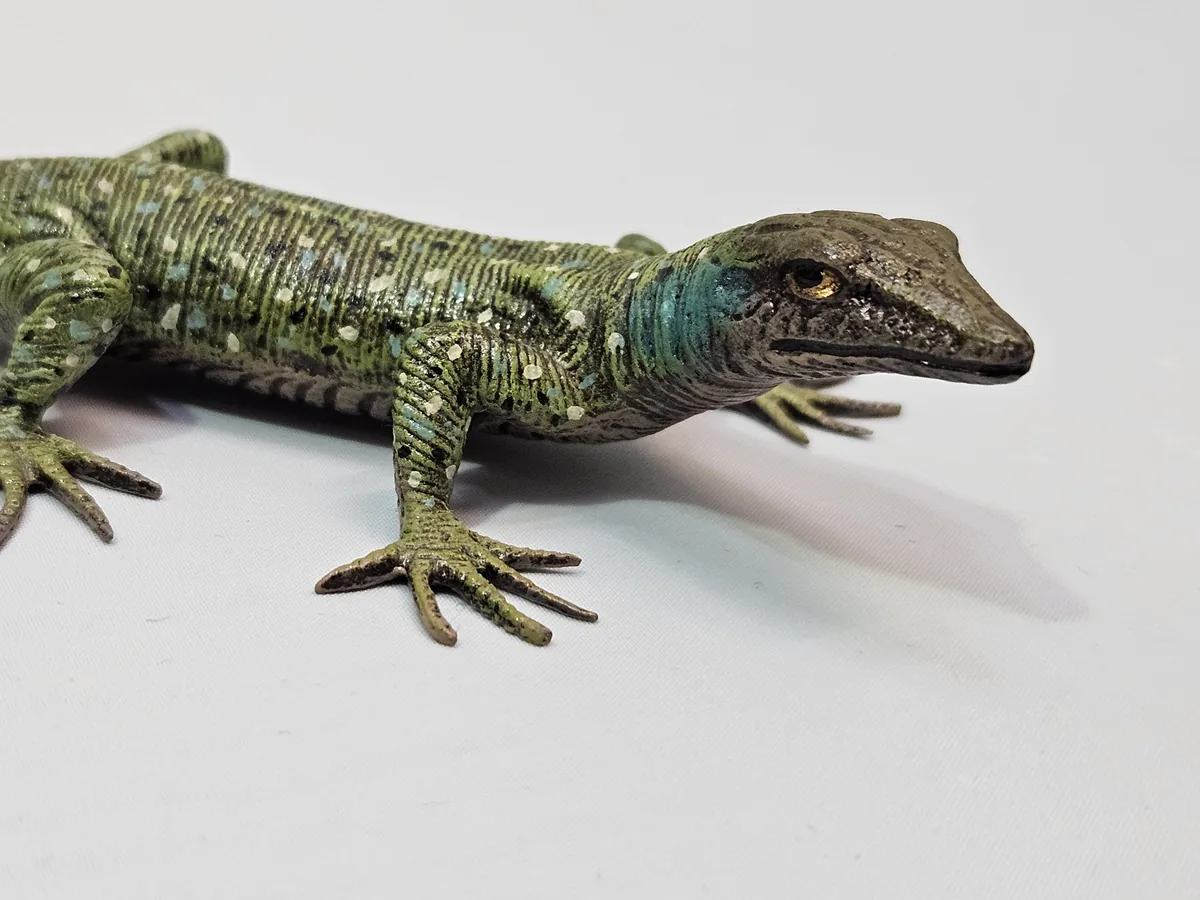 Lizard 16014