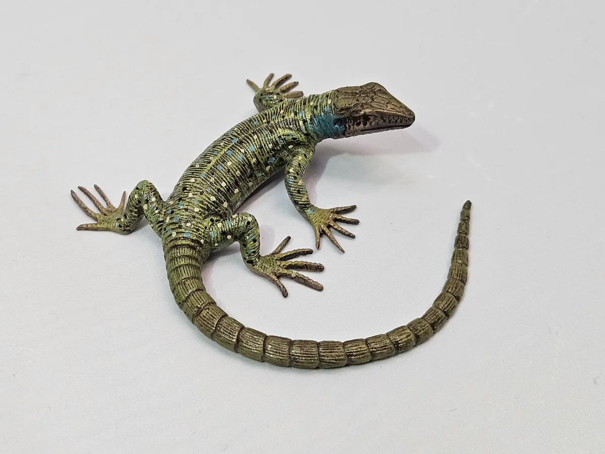Lizard 16014