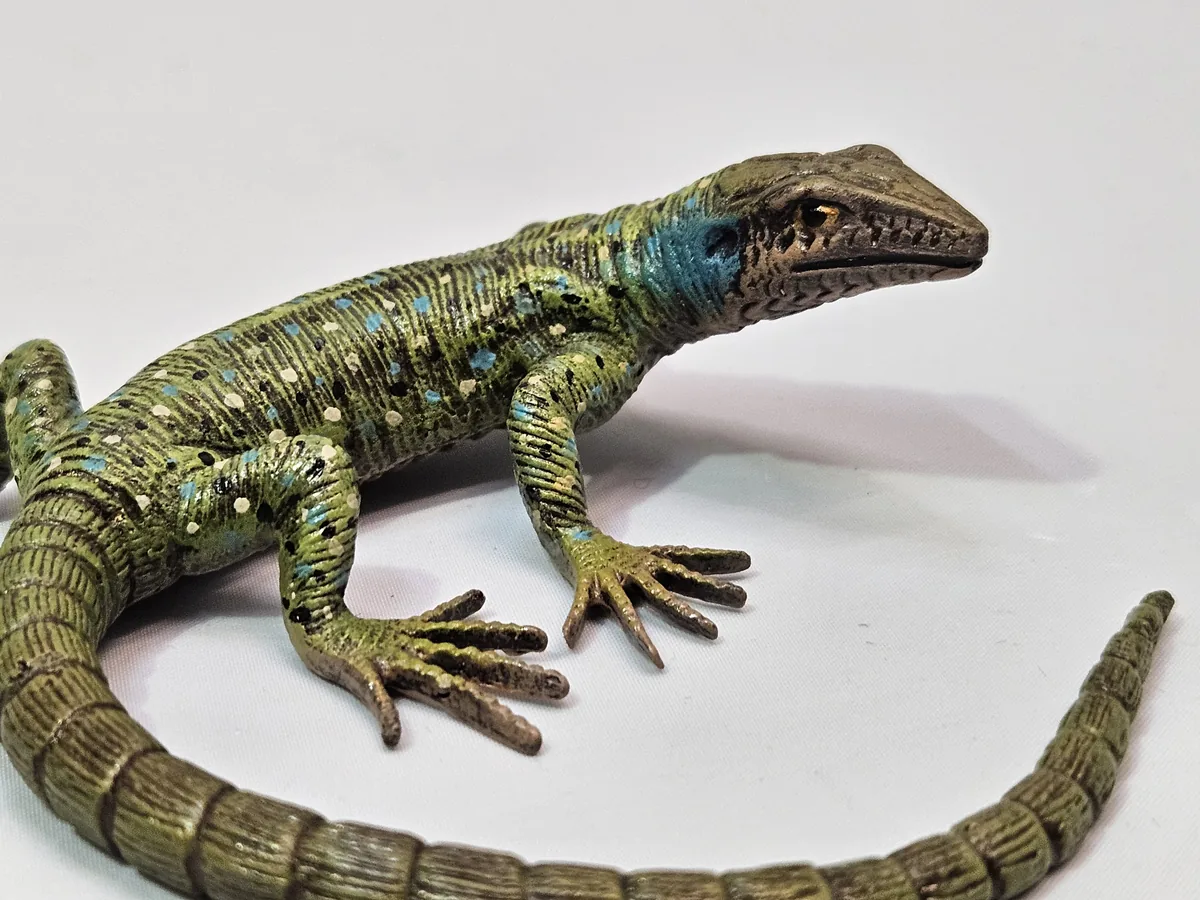 Lizard 16014