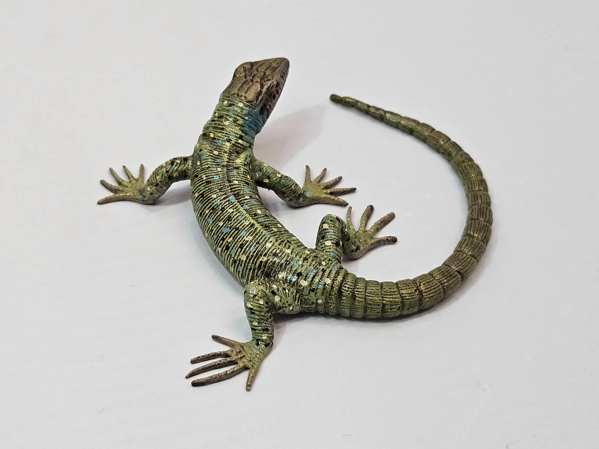 Lizard 16014