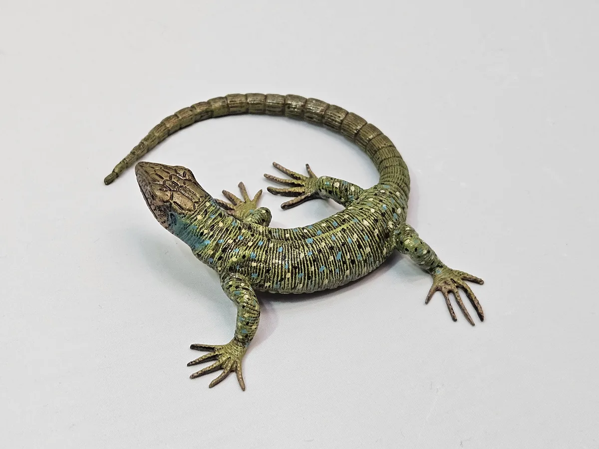 Lizard 16014