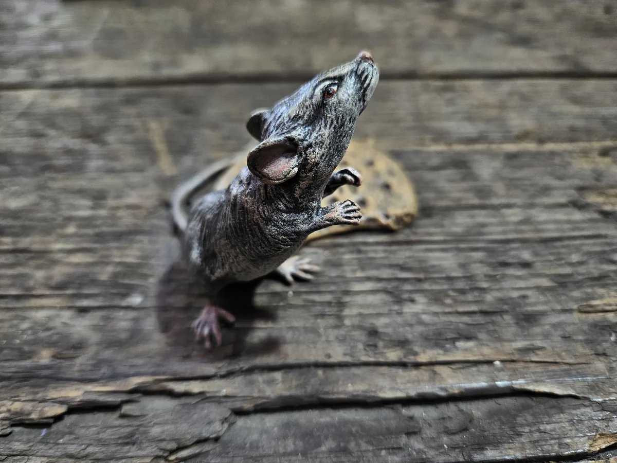 Mouse with Cookie