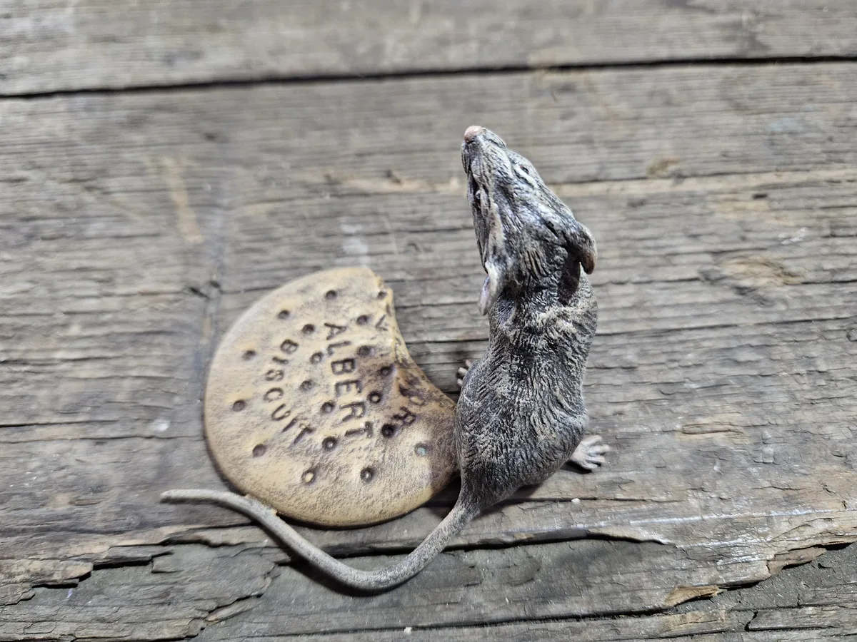 Mouse with Cookie