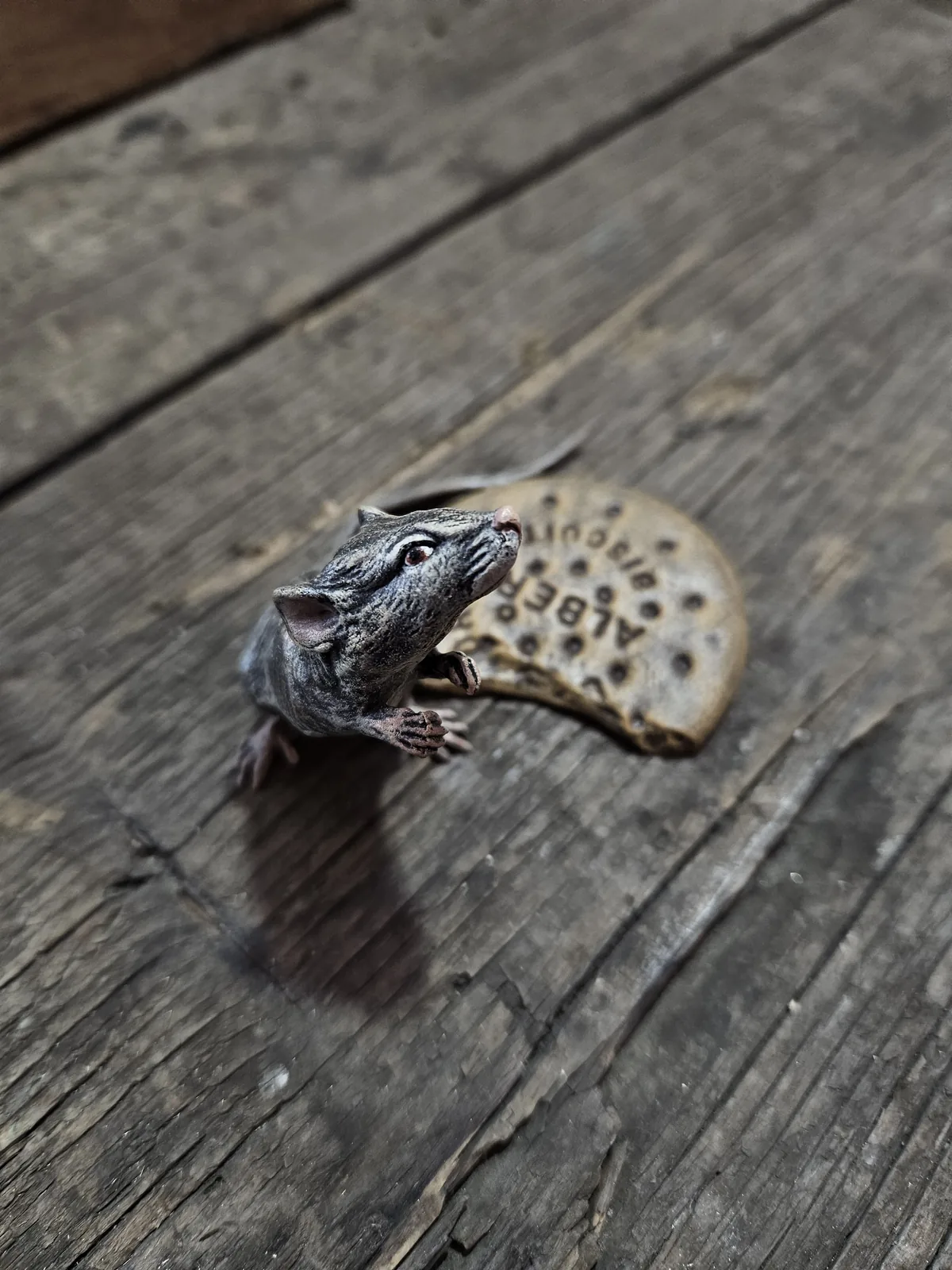 Mouse with Cookie