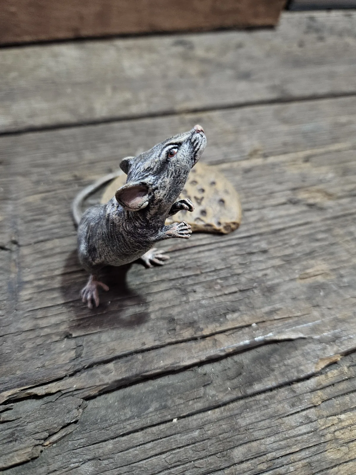 Mouse with Cookie