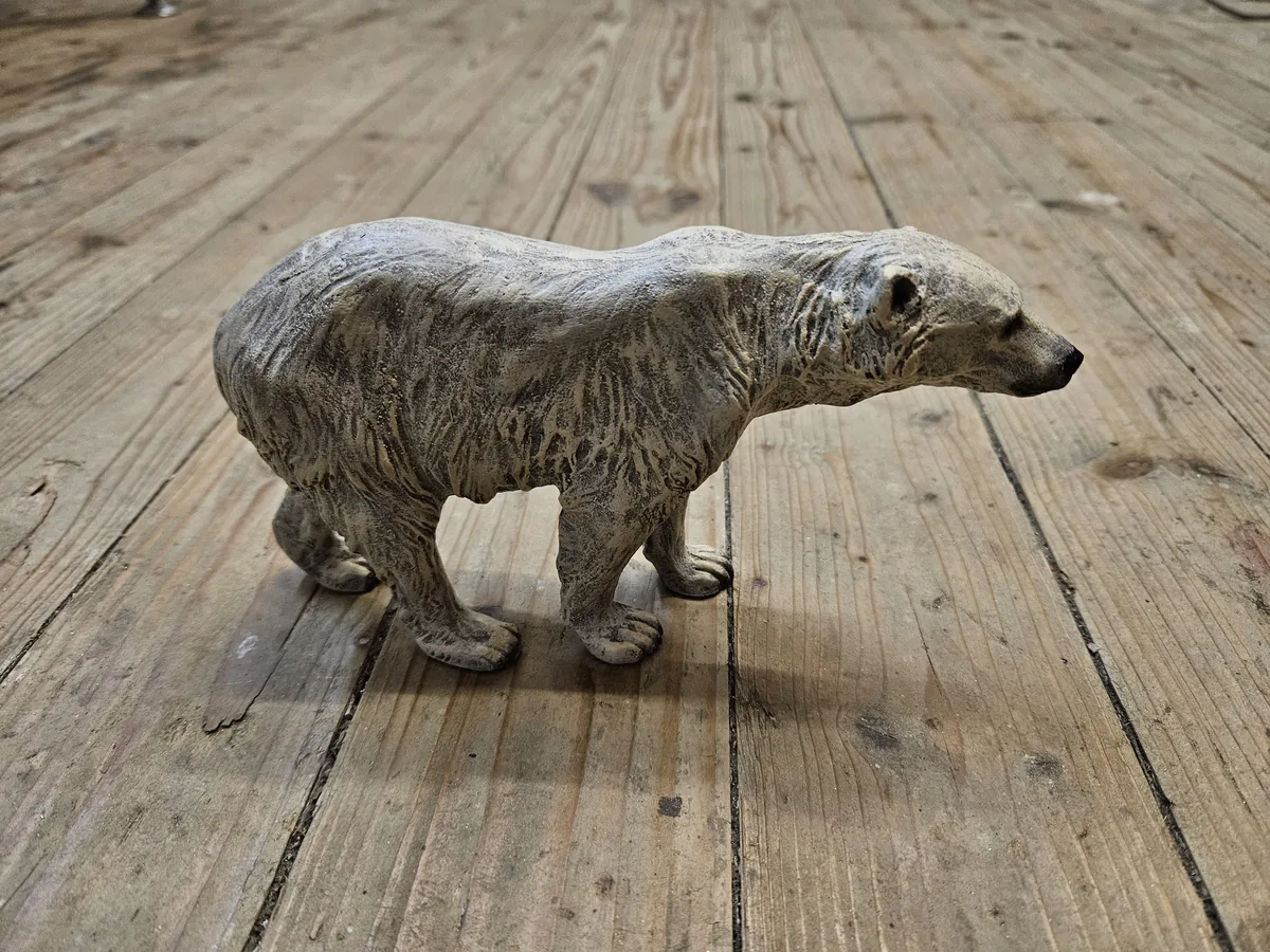 Polar Bear