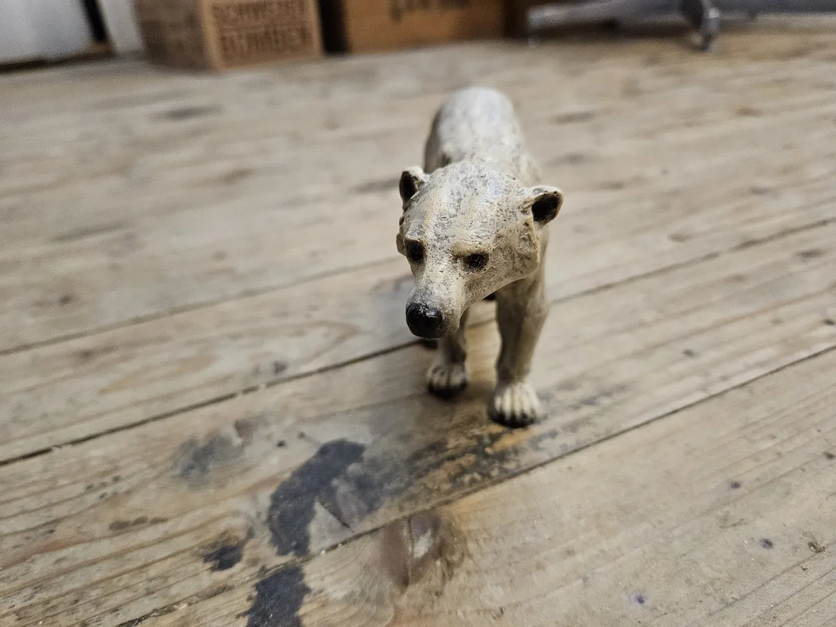 Polar Bear