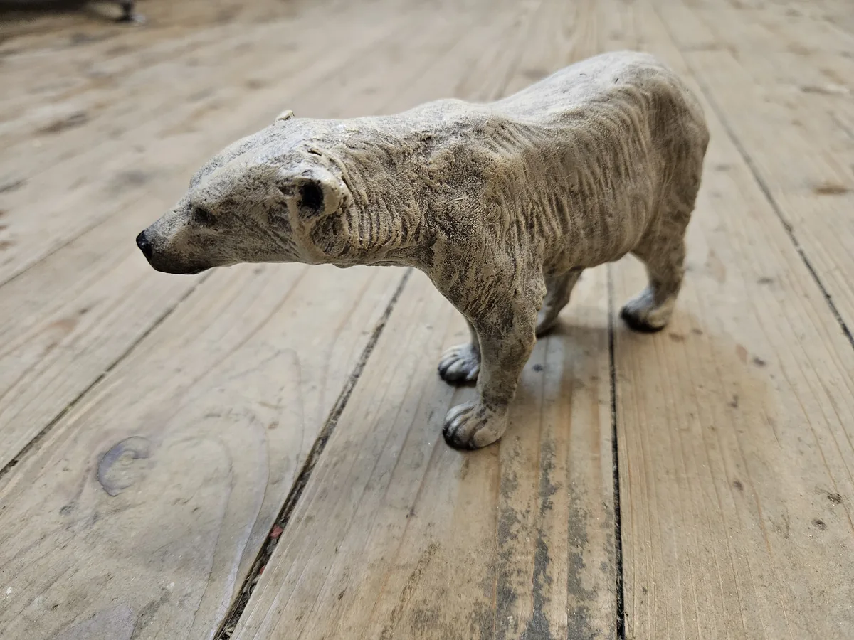 Polar Bear