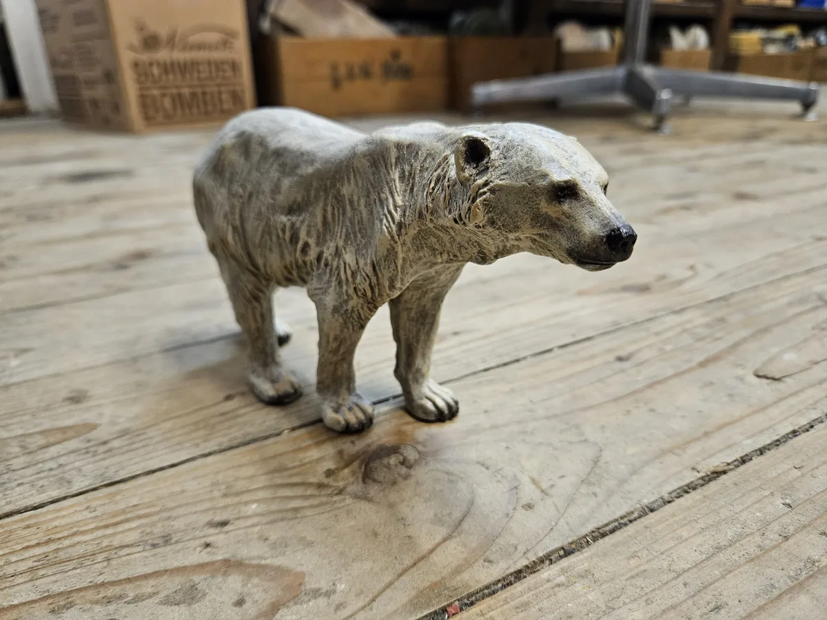Polar Bear