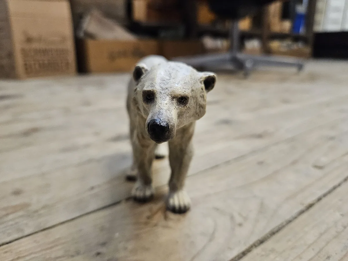 Polar Bear