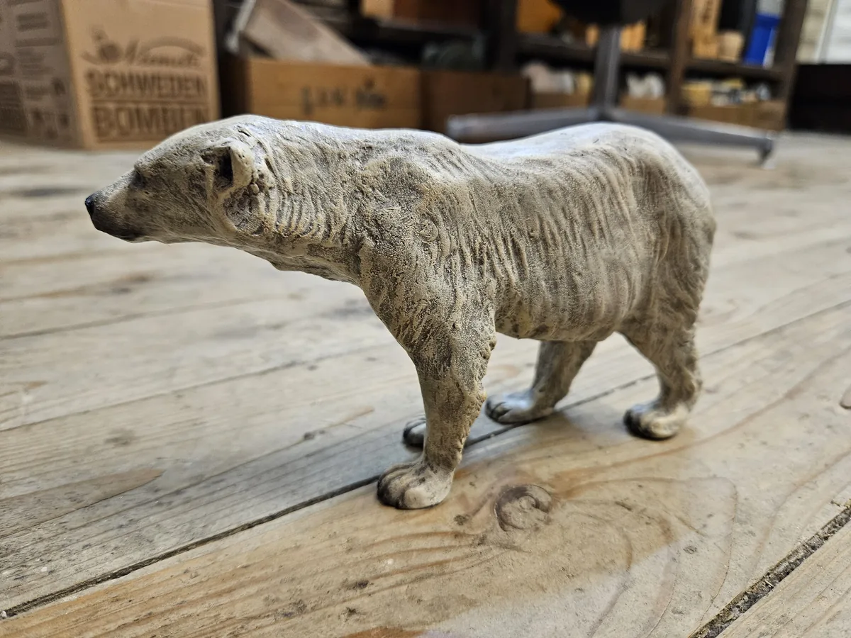 Polar Bear