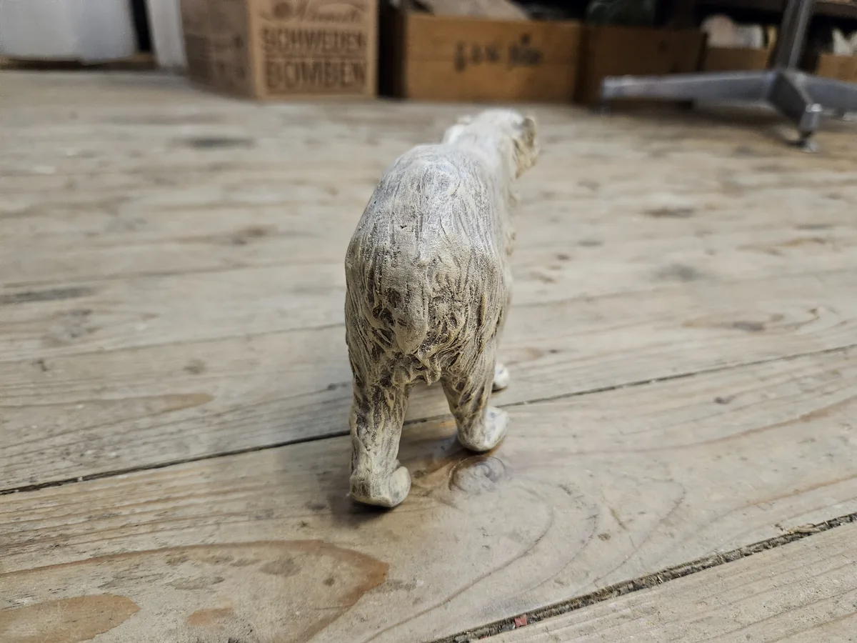 Polar Bear