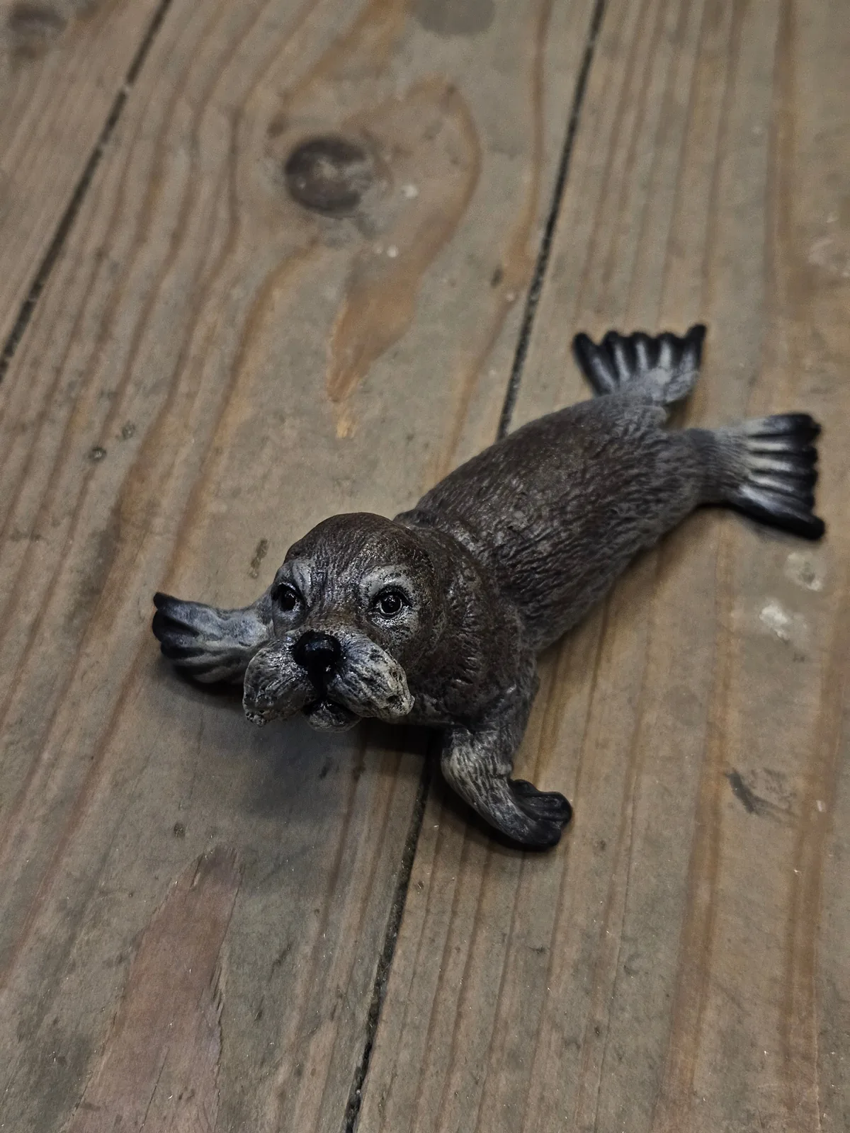 Seal