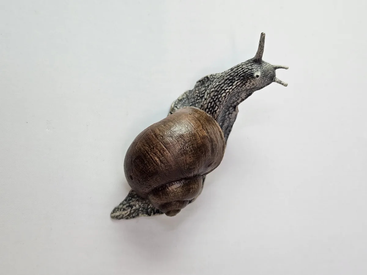 Large Snail
