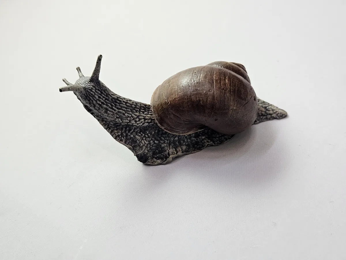 Large Snail