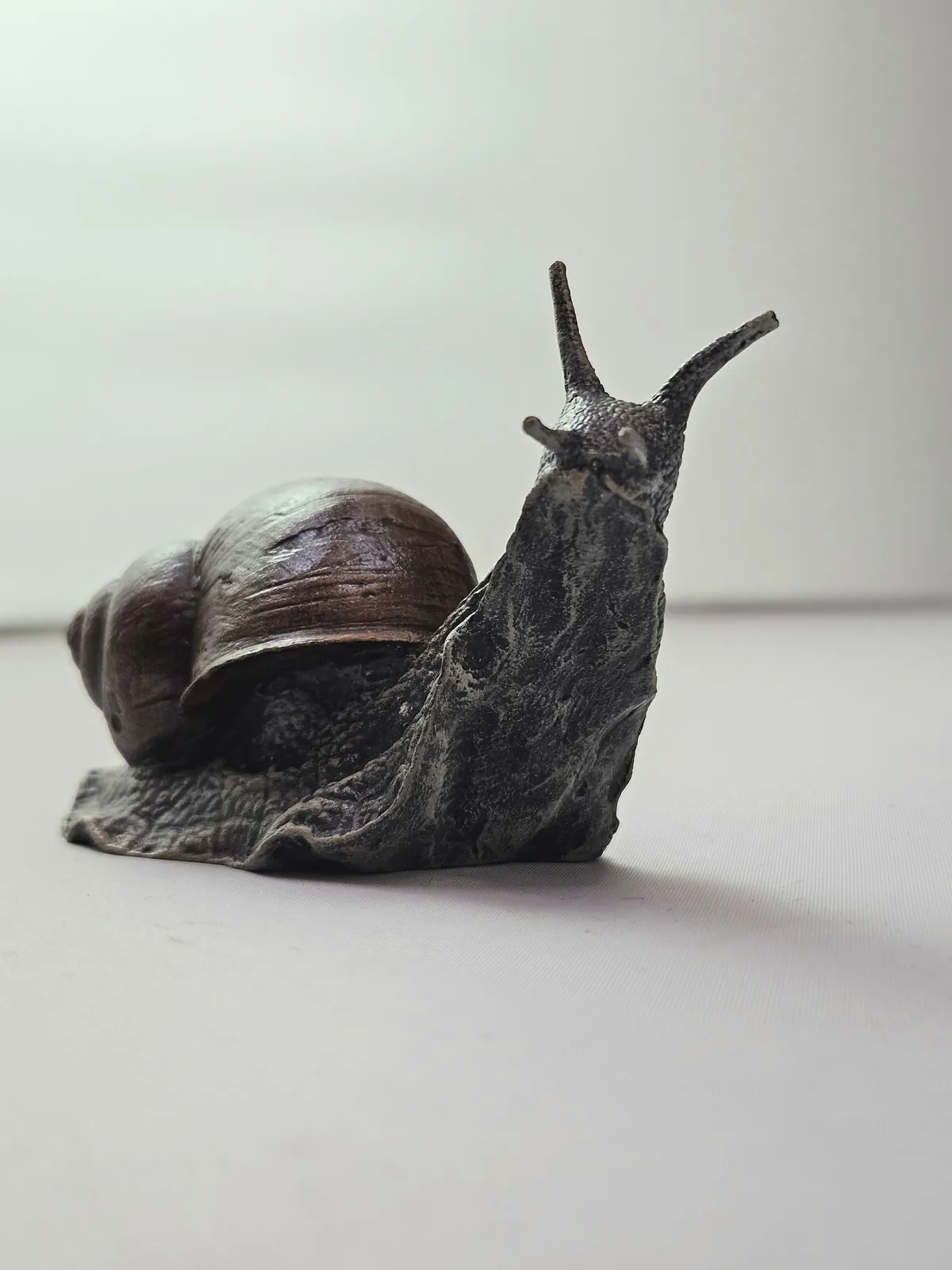 Large Snail