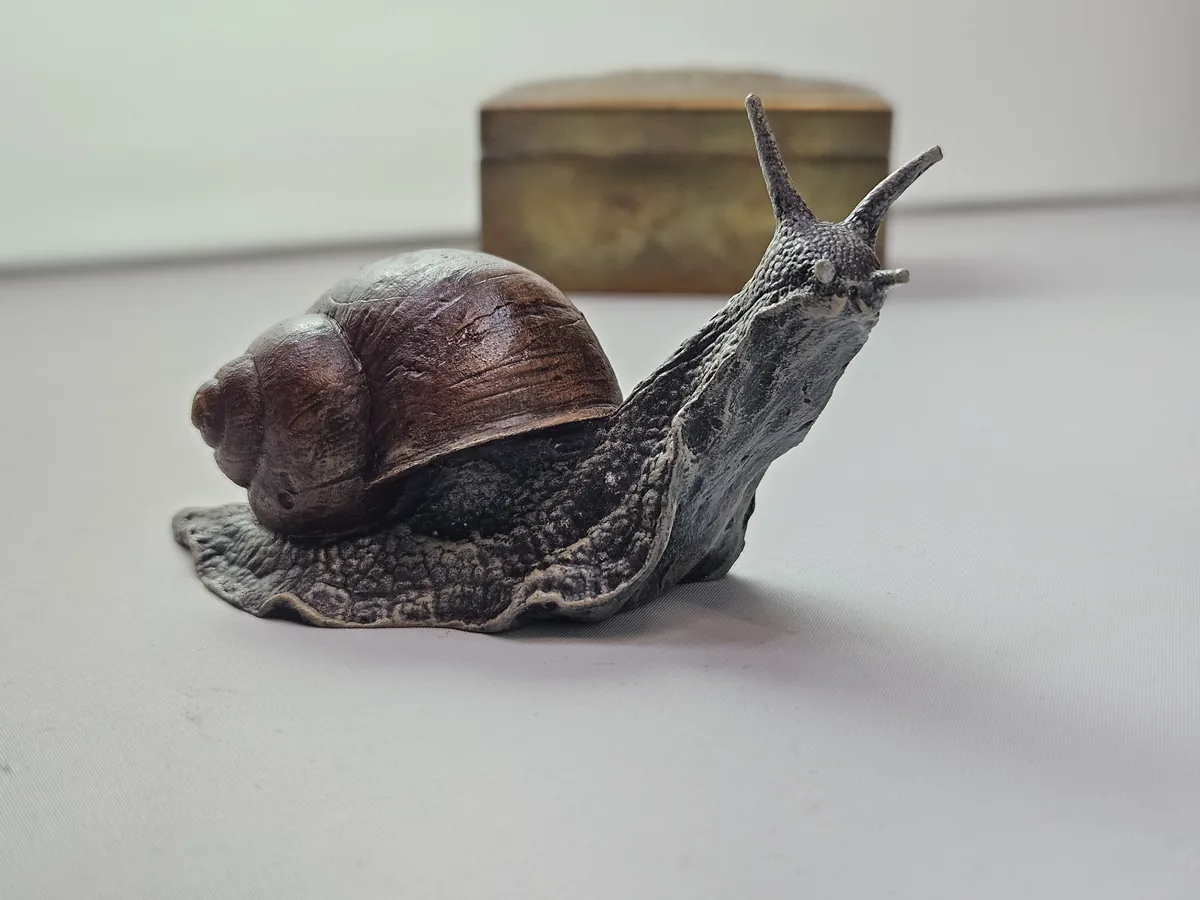 Large Snail