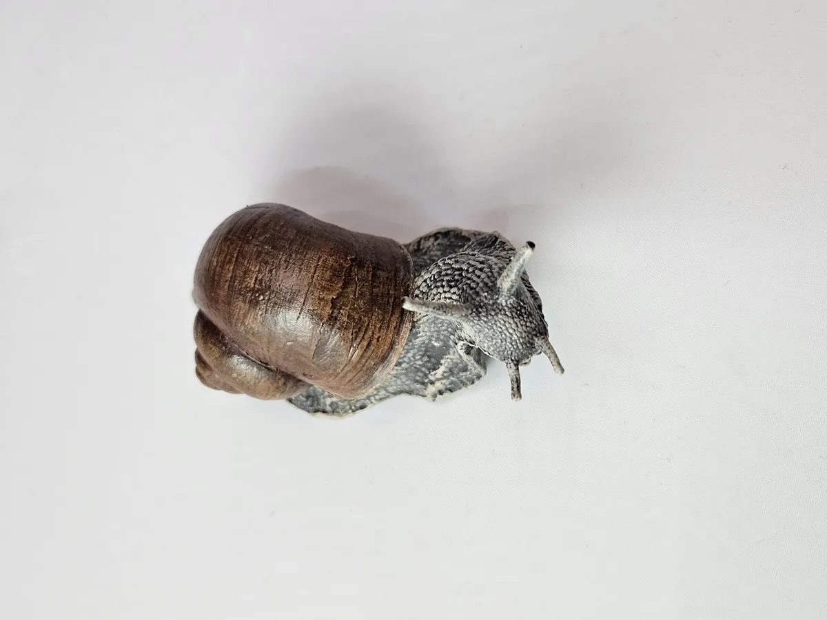 Large Snail
