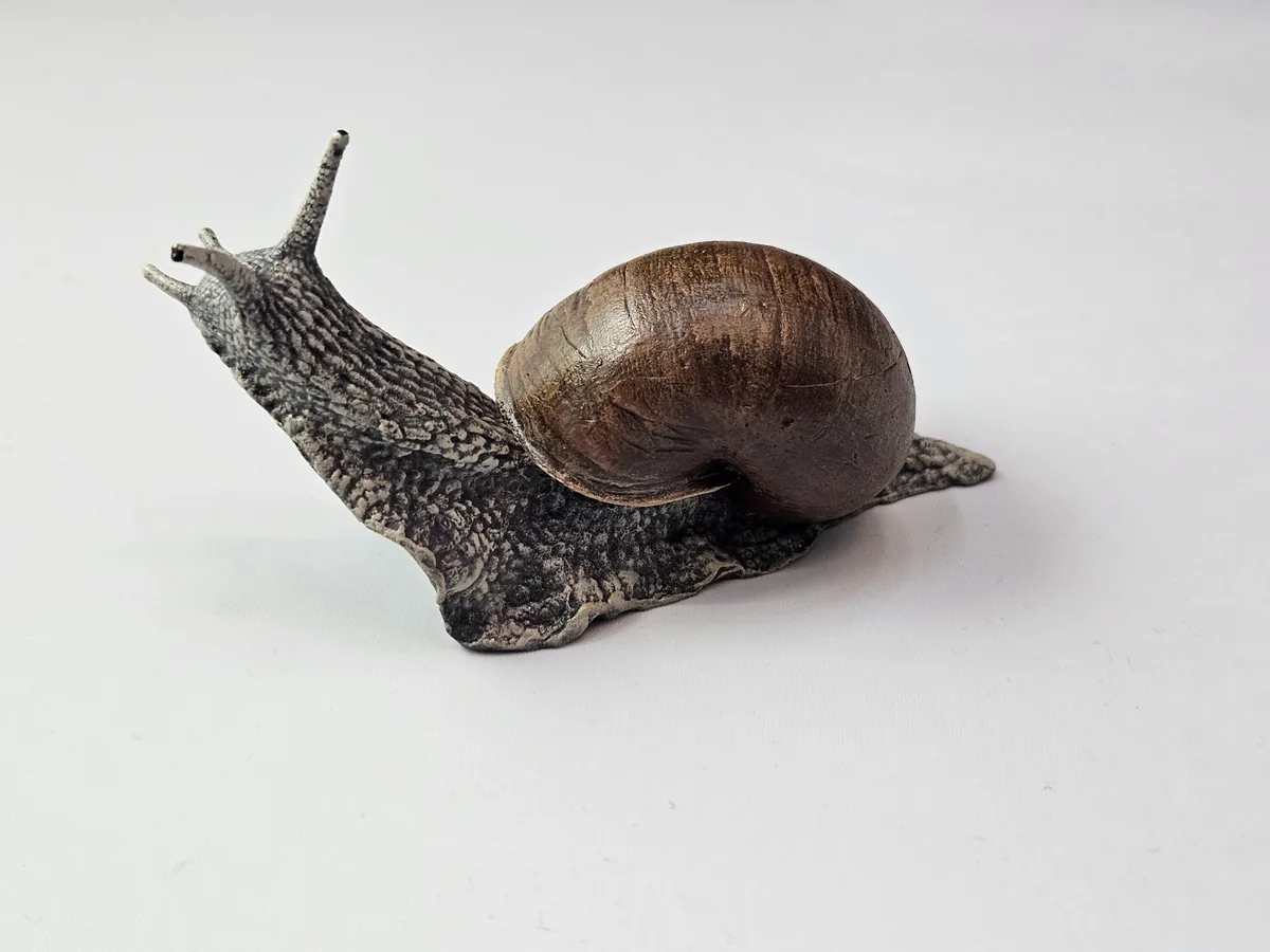 Large Snail