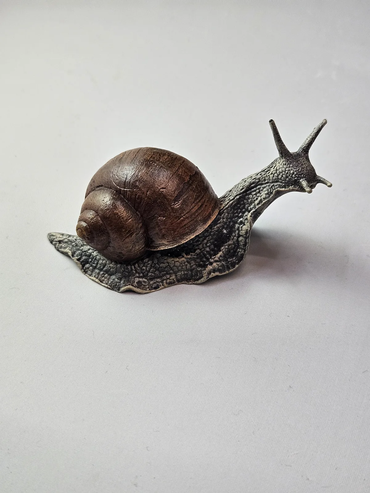 Large Snail