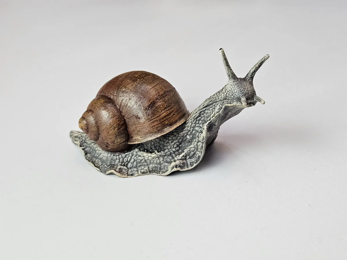 Large Snail